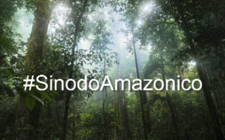 Ministro brasileiro faz analogia entre ecologia integral e desenvolvimento sustentável Ministro brasileiro faz analogia entre ecologia integral e desenvolvimento sustentável